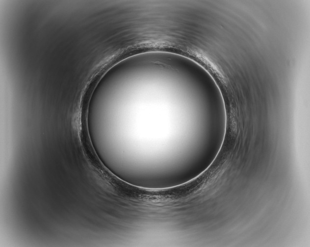 X0000096410486200801241224