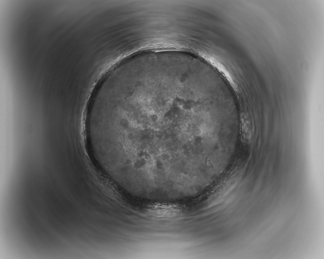X0000096410487200801241224
