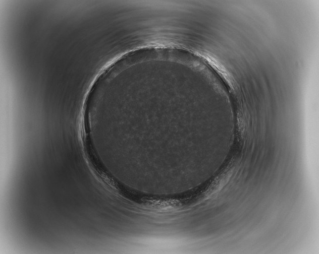X0000096410488200801241224