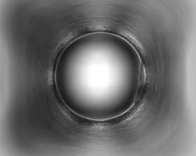 X0000096410489200801241224