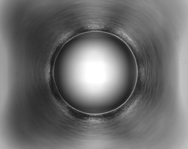 X0000096410490200801241223