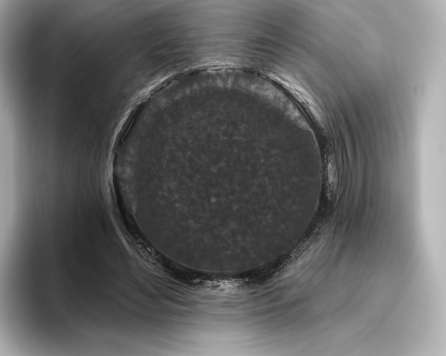 X0000096410492200801241223