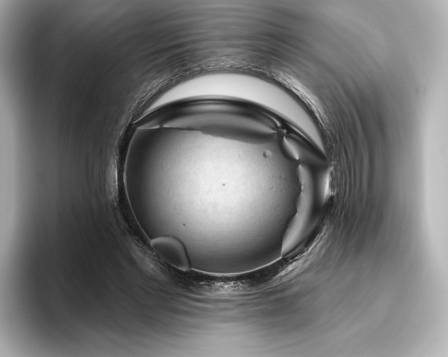 X0000096410493200801241223