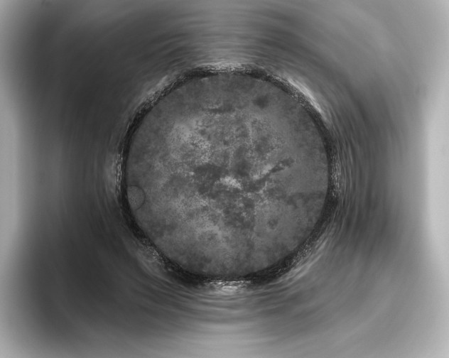 X0000096410495200801241223