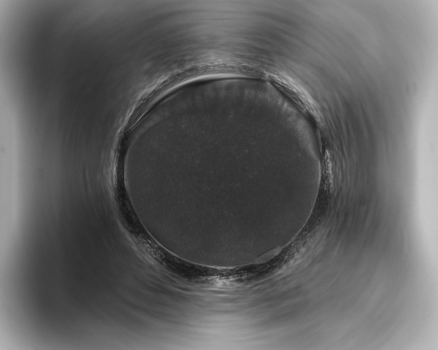X0000096410496200801241223