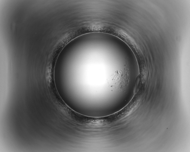 X0000096410497200801241223