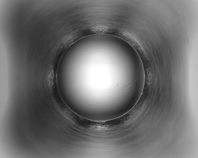 X0000096410498200801241223