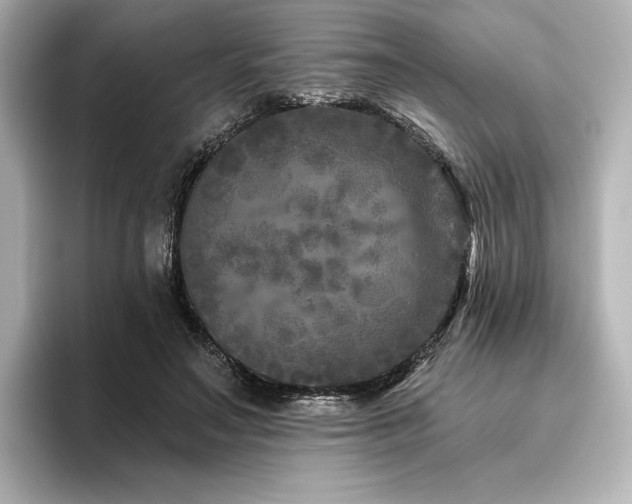 X0000096410499200801241223