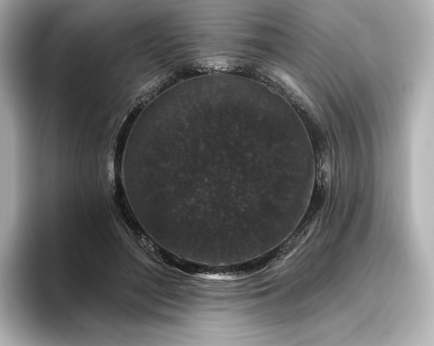 X0000096410500200801241223