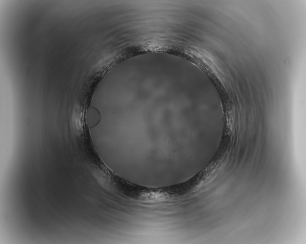 X0000096410503200801241223
