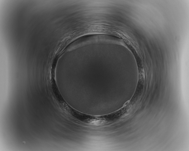 X0000096410504200801241223