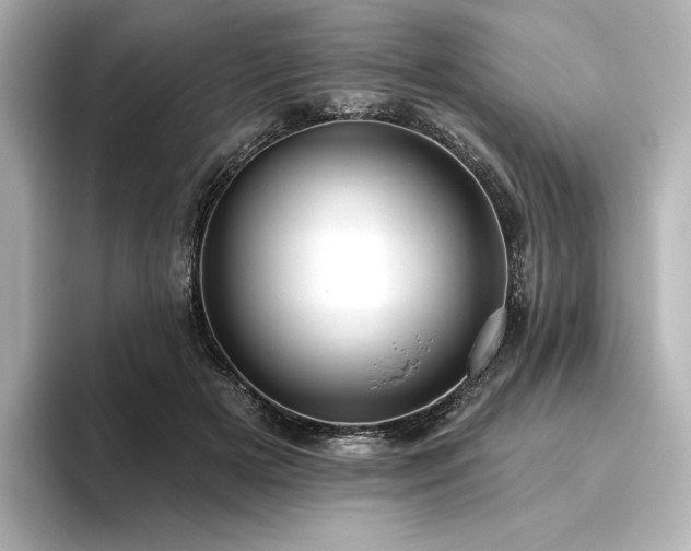 X0000096410505200801241223