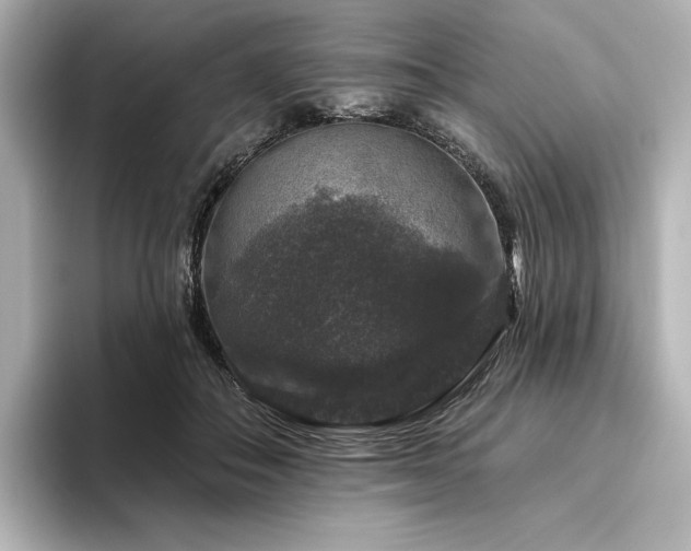 X0000096410506200801241223