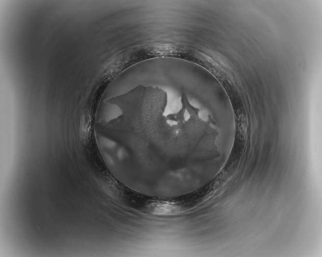 X0000096410507200801241223