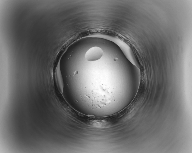 X0000096410508200801241223