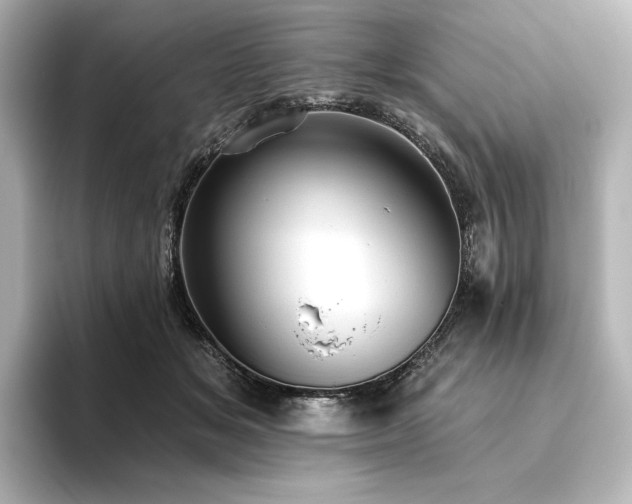 X0000096410509200801241223