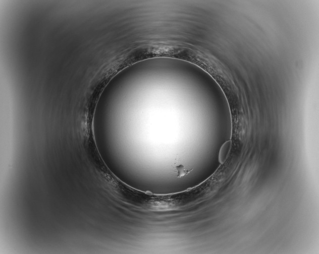 X0000096410510200801241223
