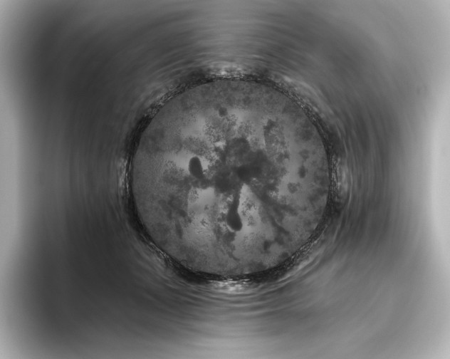 X0000096410511200801241223