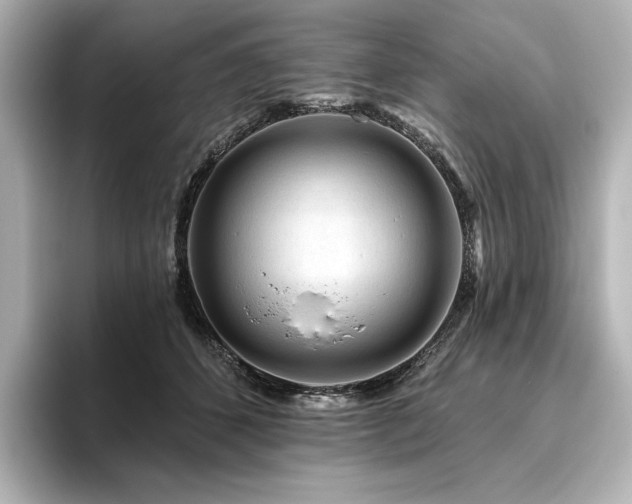 X0000096410512200801241223