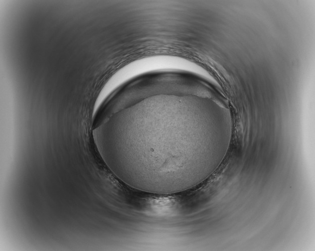 X0000096410513200801241223