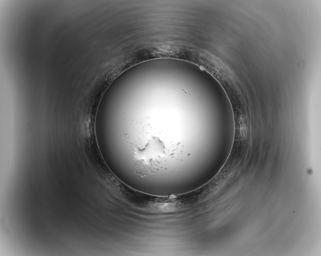 X0000096410514200801241223