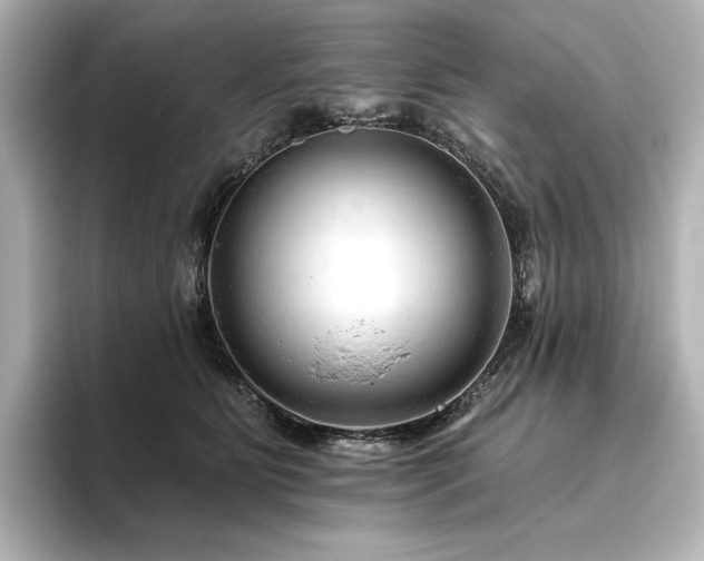 X0000096410515200801241223