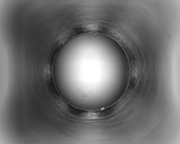 X0000096410518200801241223