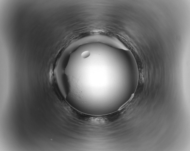 X0000096410520200801241223