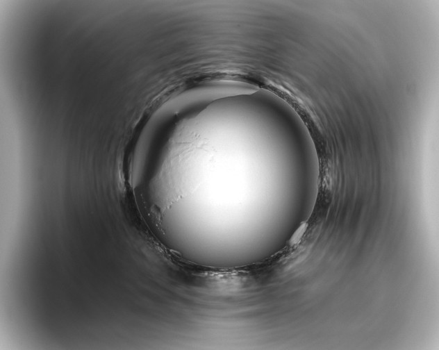 X0000096410524200801241223