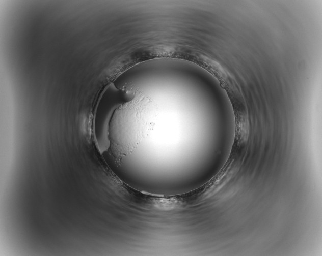 X0000096410525200801241223