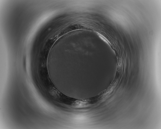 X0000096410526200801241223