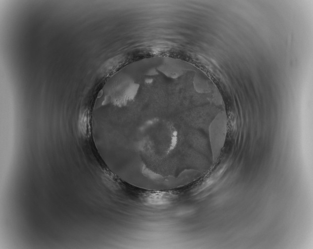 X0000096410527200801241223