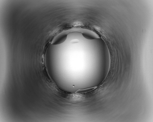 X0000096410528200801241223