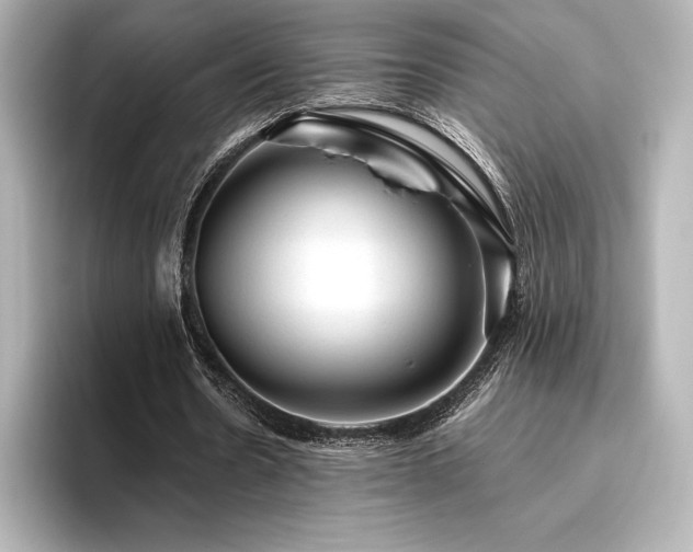 X0000096410530200801241222