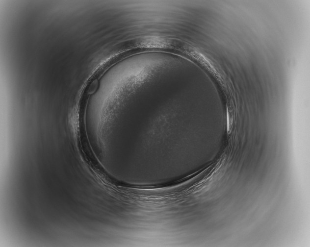 X0000096410531200801241222