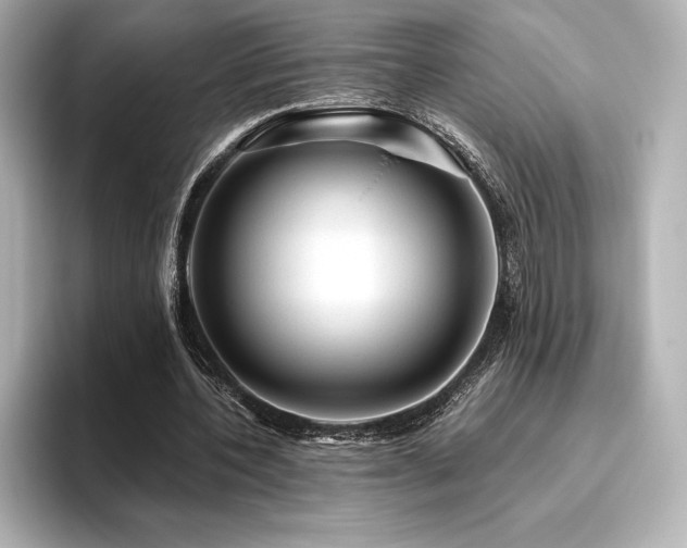 X0000096410532200801241222