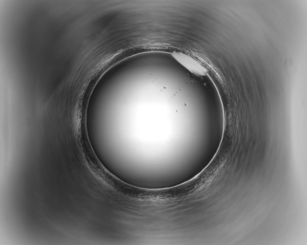 X0000096410533200801241222