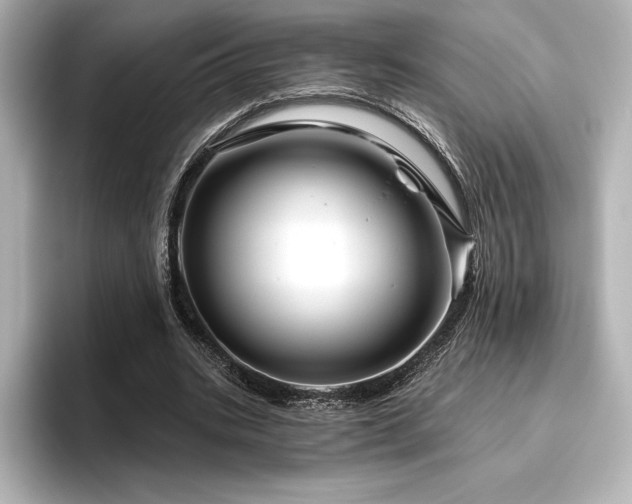 X0000096410535200801241222