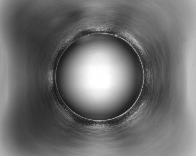 X0000096410537200801241222