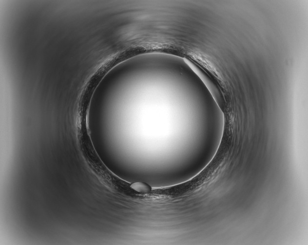X0000096410539200801241223