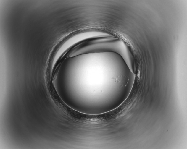 X0000096410540200801241223