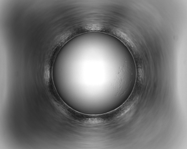 X0000096410541200801241223