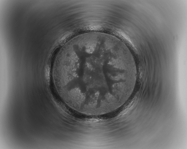 X0000096410542200801241223