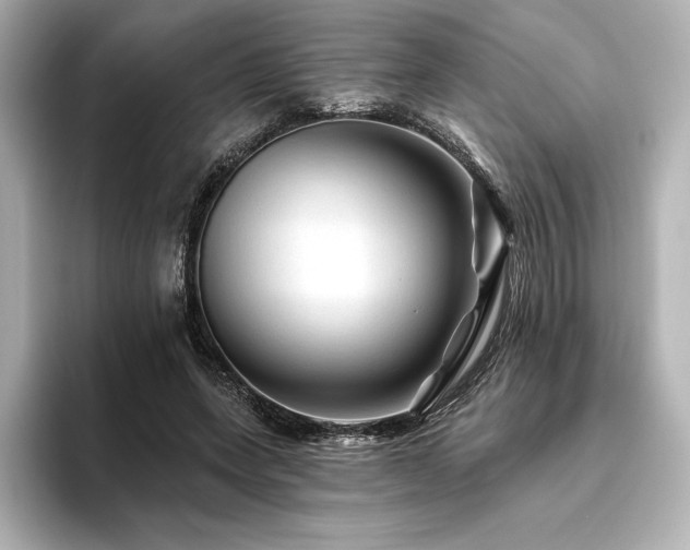 X0000096410543200801241223
