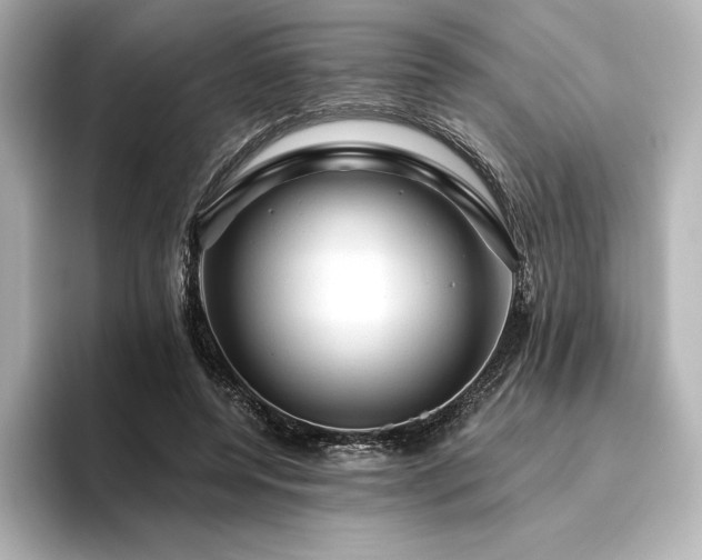 X0000096410544200801241223