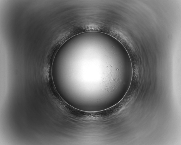 X0000096410545200801241223