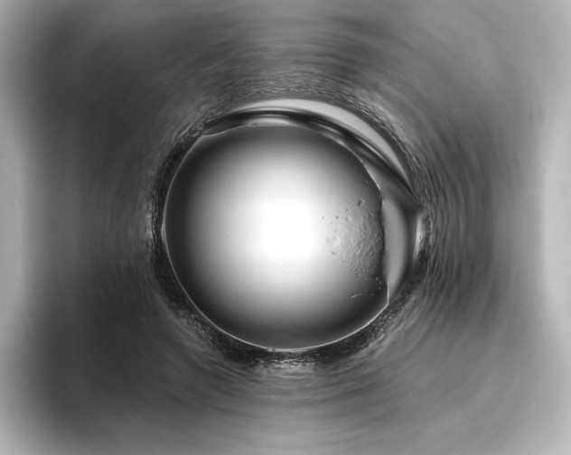 X0000096410546200801241223