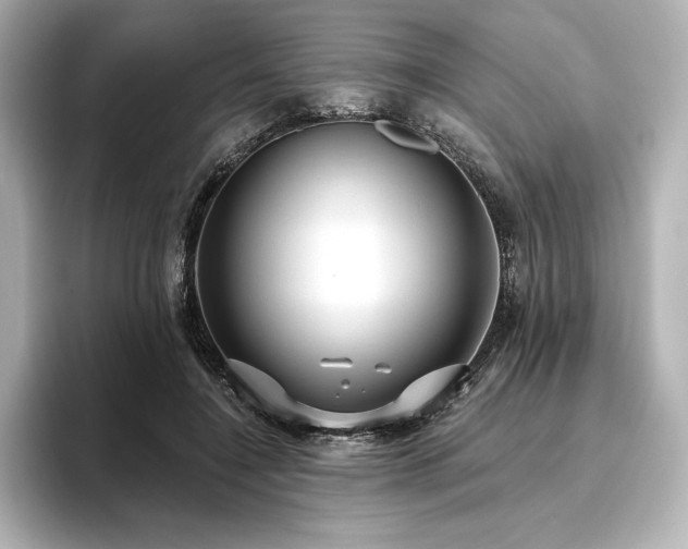 X0000096410548200801241223