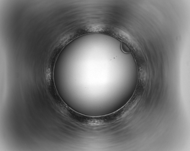 X0000096410549200801241223