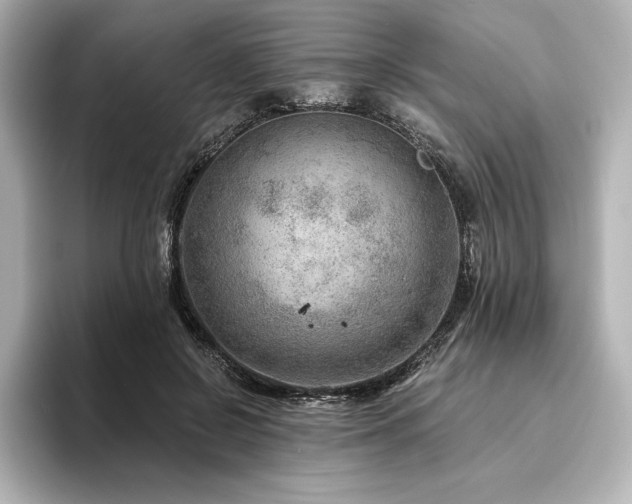 X0000096410550200801241223